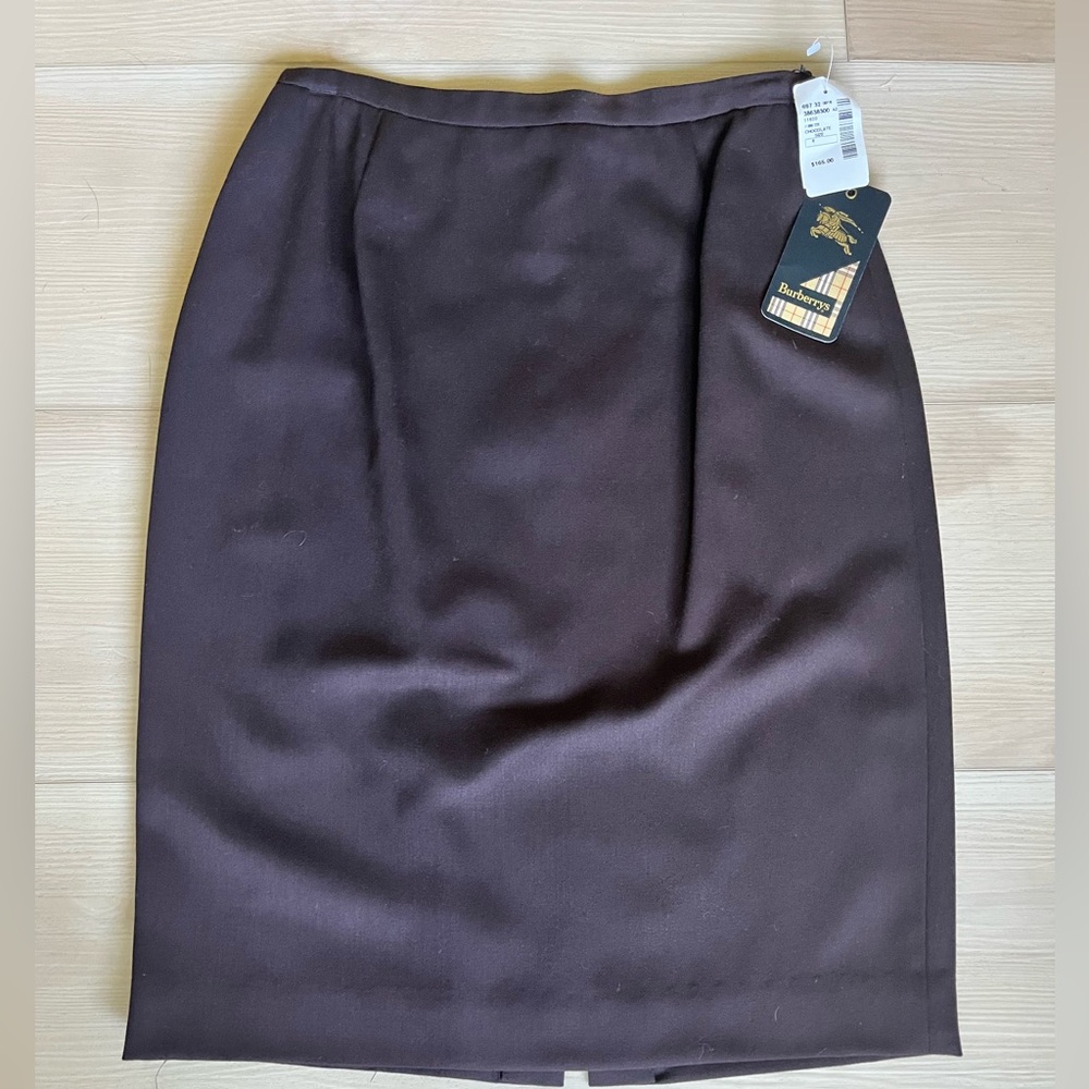 Elegant burgundy Skirt